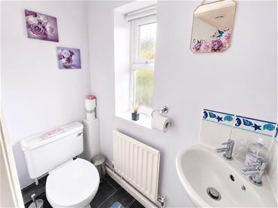 Picture 10